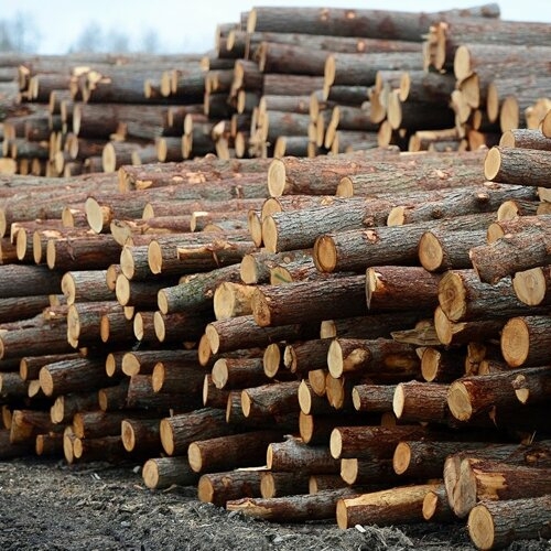 Загрузочные эстакады (Транспортеры поперечные)