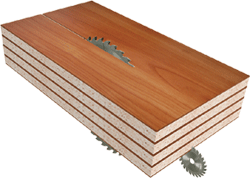 Форматно-раскроечный центр с ЧПУ HOLD HP330