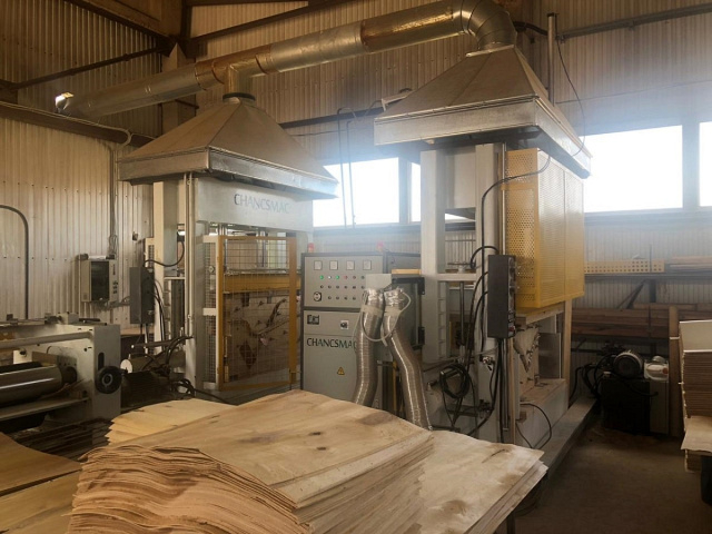 Гидравлический пресс для производства гнуто-клееных изделий VP-12/08TH