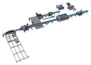 Лесопильная линия Walter 450