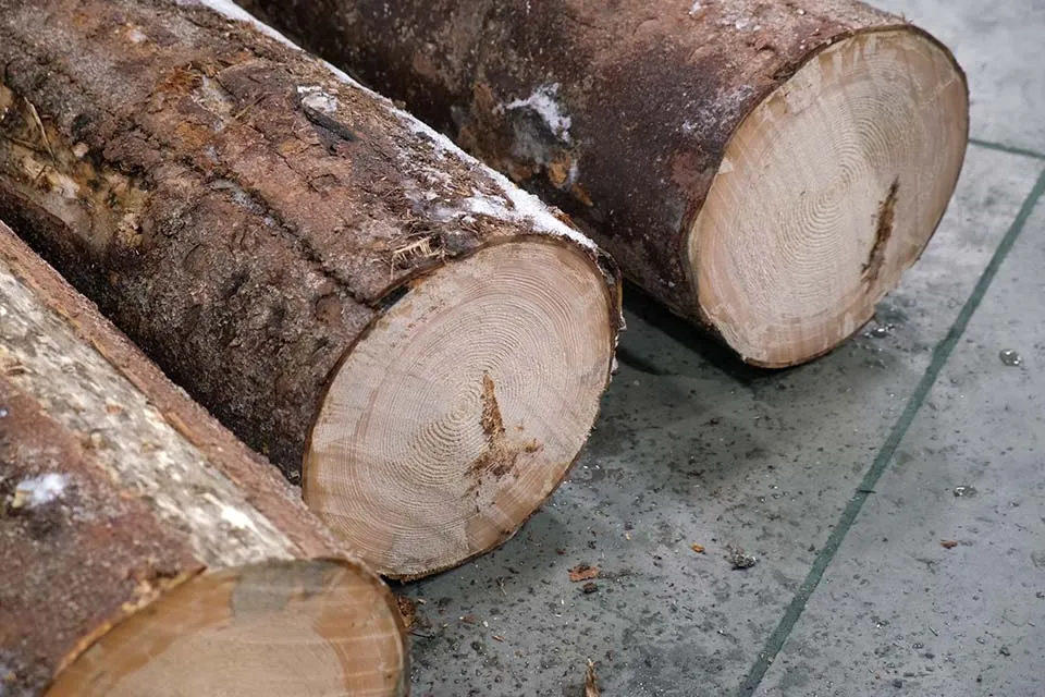 Линия раскряжевки Cronver RB 900