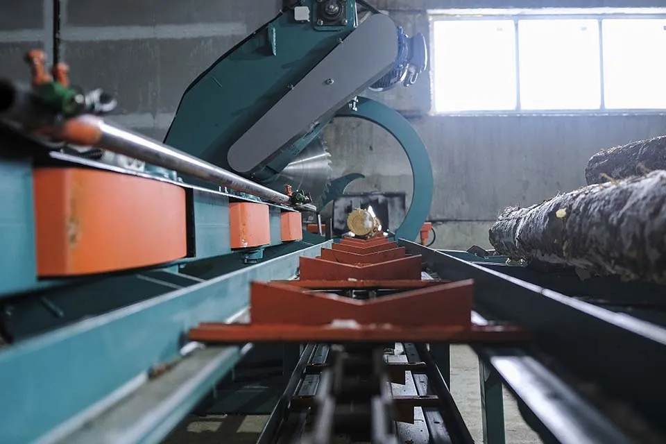 Раскряжевочный станок Cronver RB 900