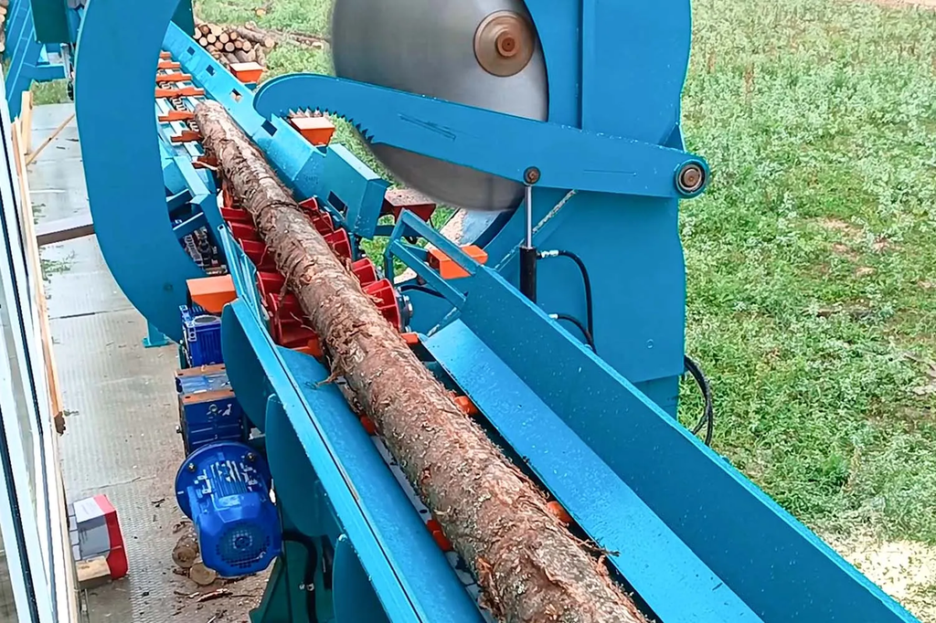 Линия сортировки с раскряжевкой бревна LSR 1250