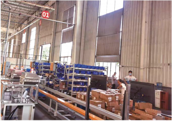 Линия фасовки фурнитуры RemexPacking LX1000