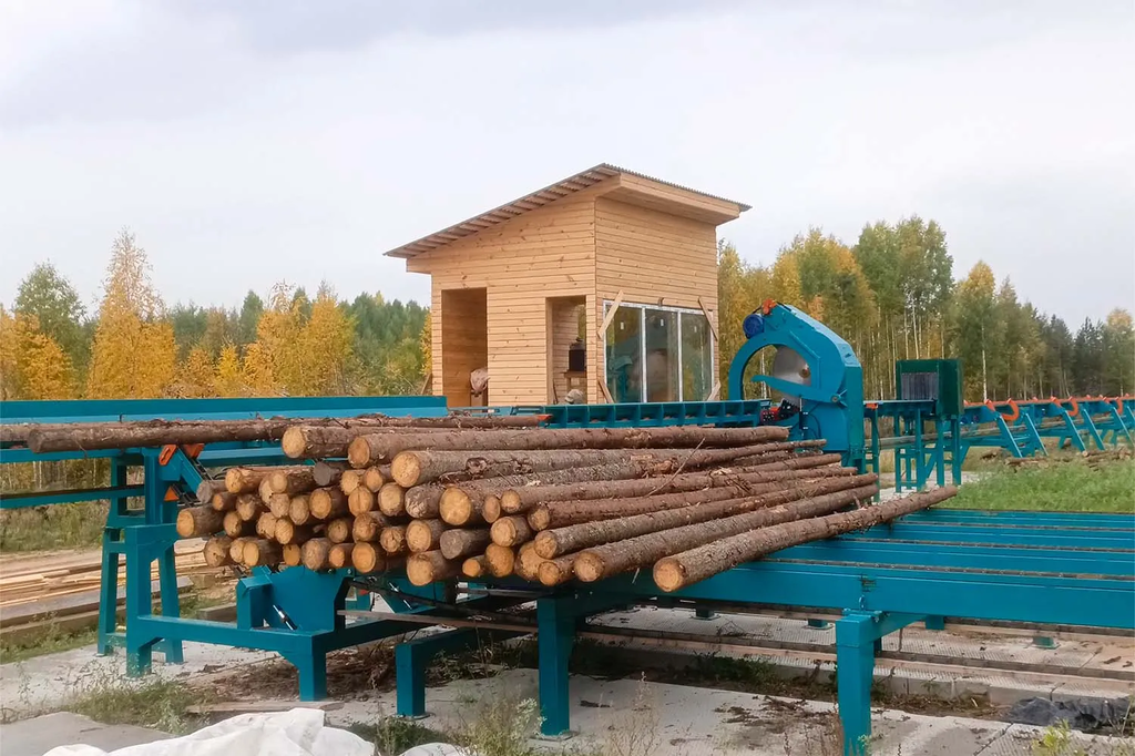 Линия сортировки с раскряжевкой бревна LSR 1250