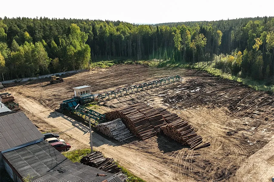 Линия сортировки бревна Cronver LSB 300